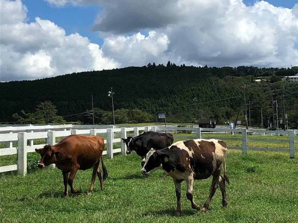 23年 全国のバンジージャンプおすすめスポット13選 スリル満点の絶景観光スポット Recotrip レコトリップ