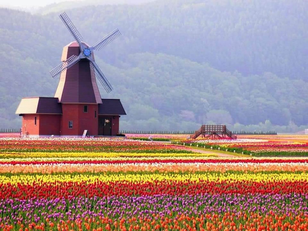 春の絶景特集 Recotoriユーザーがおすすめ 日本が誇る春の絶景17選 Recotrip レコトリップ