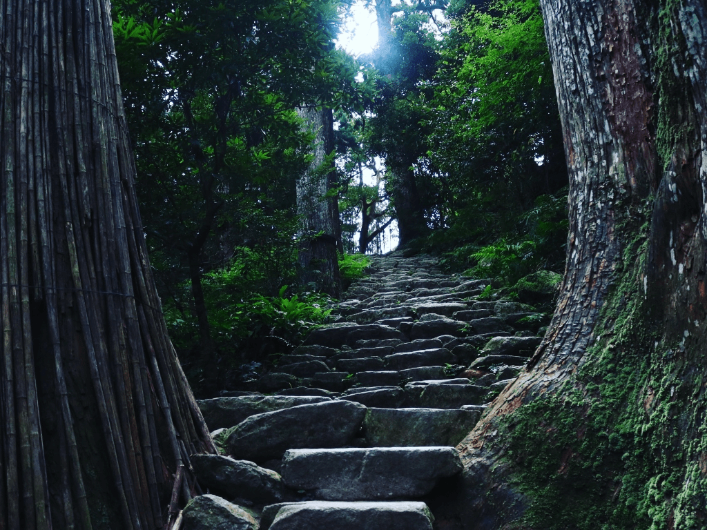 和歌山 絶景スポット22選 インスタ映え間違いなしの大自然 和歌山観光におすすめ Recotrip レコトリップ