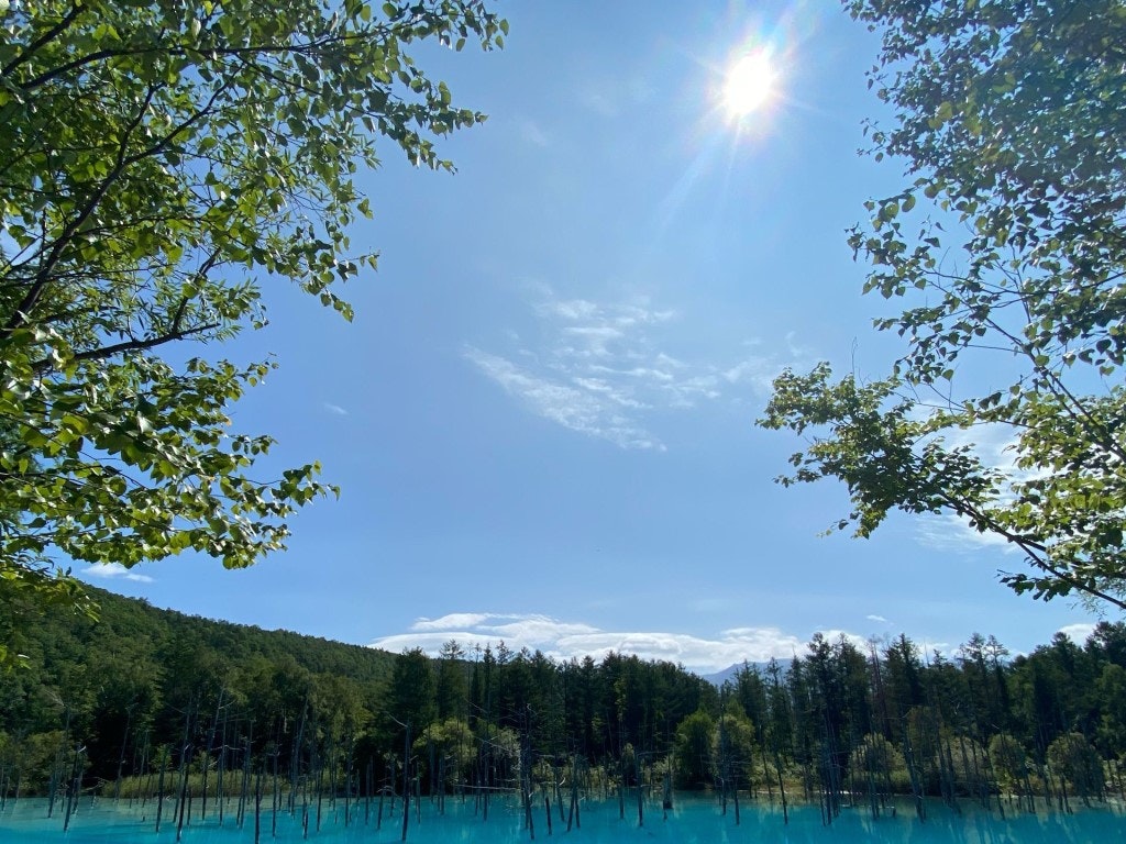 これぞ青の絶景 北海道の美瑛を代表する 青い池 を見に行こう Recotrip レコトリップ