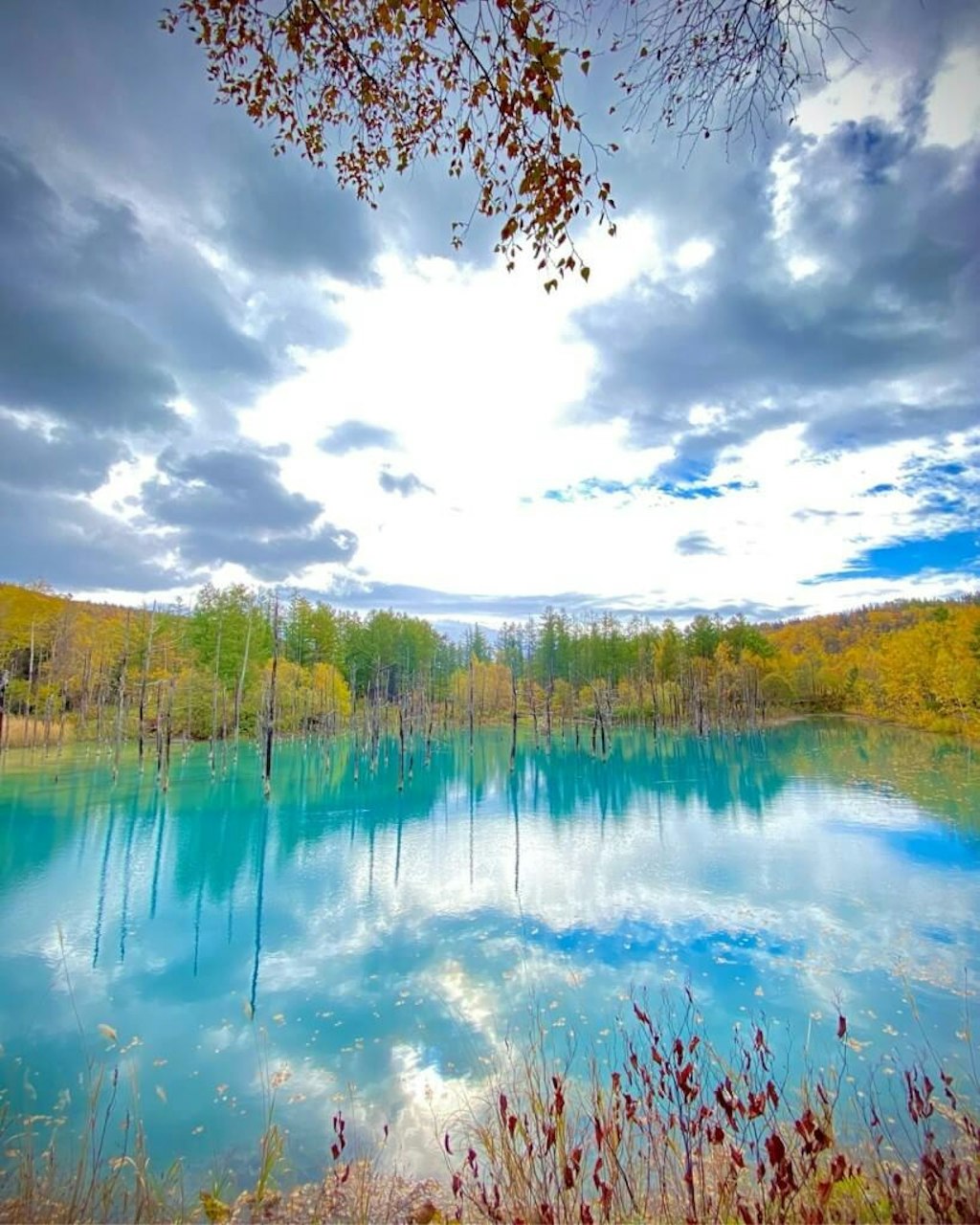 日本が誇る秋の絶景 グルメ40選 秋が好き より Recotrip レコトリップ 日本が誇る秋の絶景 グルメ40選 秋が好き より Recotrip レコトリップ