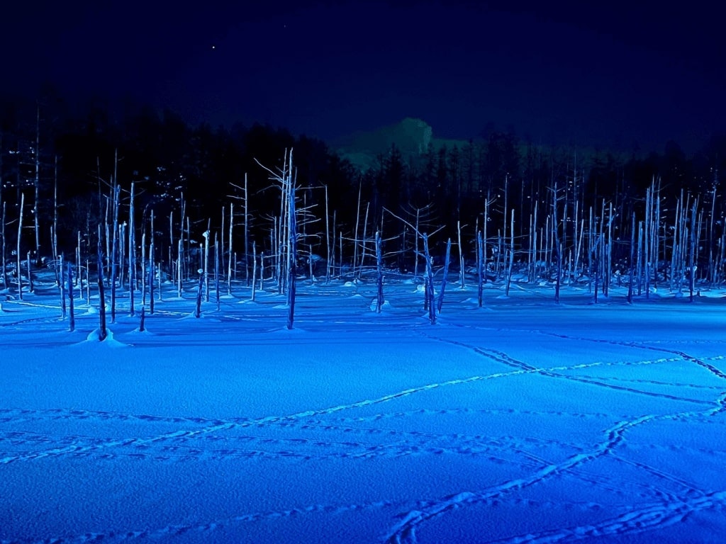 美しい雪景色