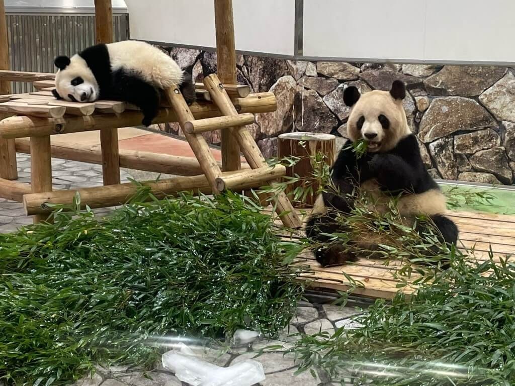 22年 全国のハロウィンおすすめ観光スポット25選 仮装イベントからスイーツビュッフェなど見どころ満載 Recotrip レコトリップ 22年 全国のハロウィンおすすめ観光スポット25選 仮装イベントからスイーツビュッフェなど見どころ満載 Recotrip レコトリップ