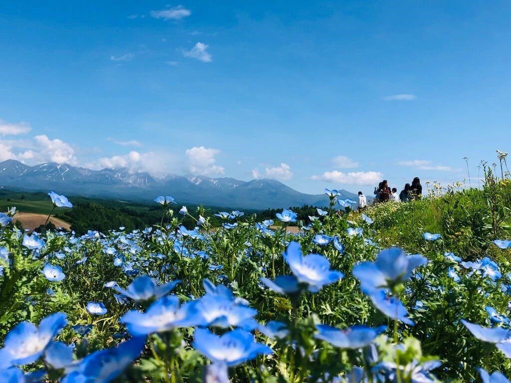 アメリカ製Village 壁紙緑色薔薇6本 アメリカ製Village 壁紙緑色薔薇6本