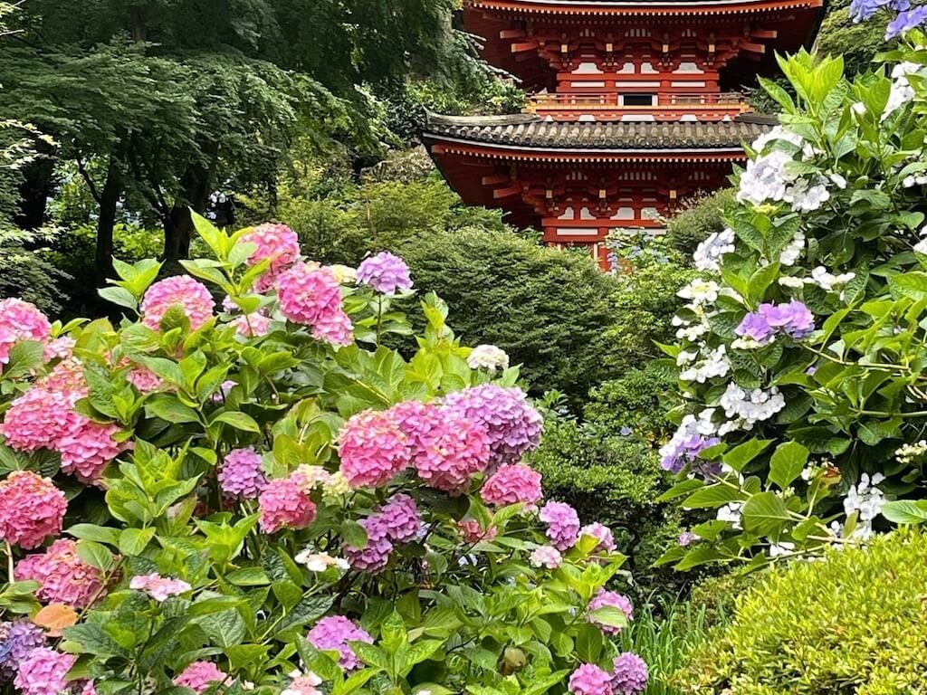 22年 関西の紫陽花 あじさい 名所 穴場16選 見頃や開花情報も Recotrip レコトリップ 22年 関西の紫陽花 あじさい 名所 穴場16選 見頃や開花情報も Recotrip レコトリップ