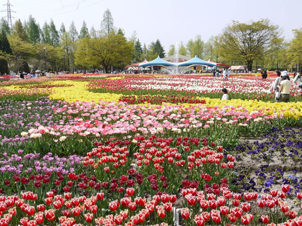 5月の東京都で人気の絶景・自然ランキングTOP30