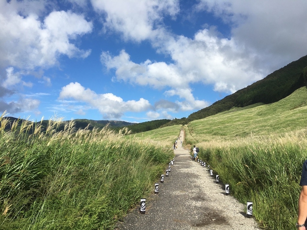 黄金色に輝く秋の絶景 仙石原すすき草原 の魅力と周辺観光を紹介 Recotrip レコトリップ