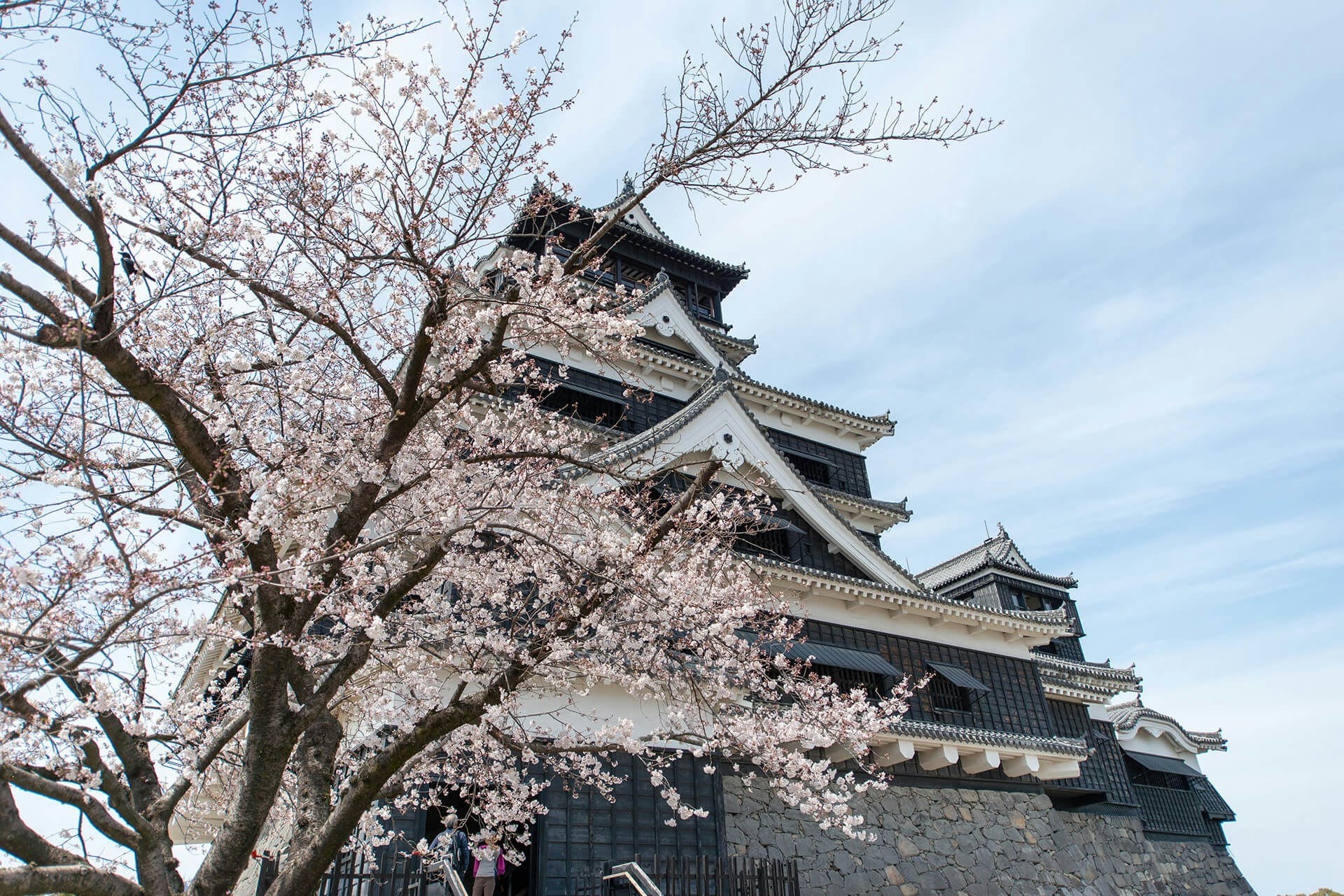 21年版 玉名 山鹿 菊池の遊園地 テーマパークランキング Recotrip レコトリップ