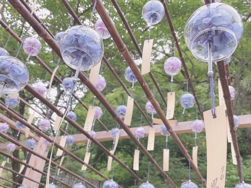 22年 関西の紫陽花 あじさい 名所 穴場16選 見頃や開花情報も Recotrip レコトリップ