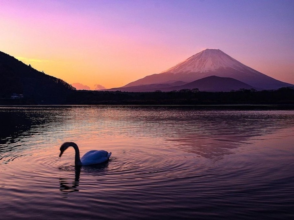 息をのむほど美しい 富士五湖の1つ 精進湖 へ富士山の絶景を見に行こう Recotrip レコトリップ