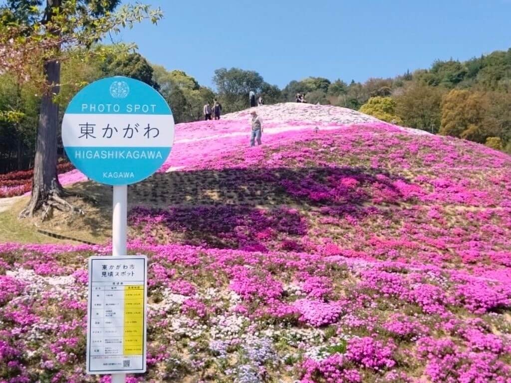 22年 中国 四国 九州の芝桜おすすめ名所23選 見頃や開花情報も Recotrip レコトリップ 22年 中国 四国 九州の芝桜おすすめ名所23選 見頃や開花情報も Recotrip レコトリップ
