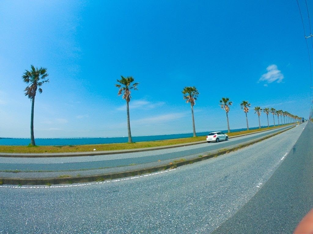 千葉のカリフォルニア 千葉フォルニア に愛車でドライブ 南国気分を味わおう Recotrip レコトリップ 千葉のカリフォルニア 千葉フォルニア に愛車でドライブ 南国気分を味わおう Recotrip レコトリップ