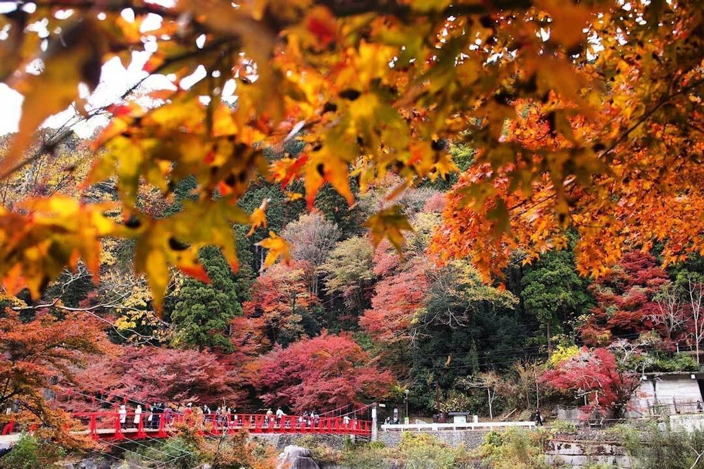 22年版 東海の人気の紅葉名所と見ごろ Recotrip レコトリップ 22年版 東海の人気の紅葉名所と見ごろ Recotrip レコトリップ