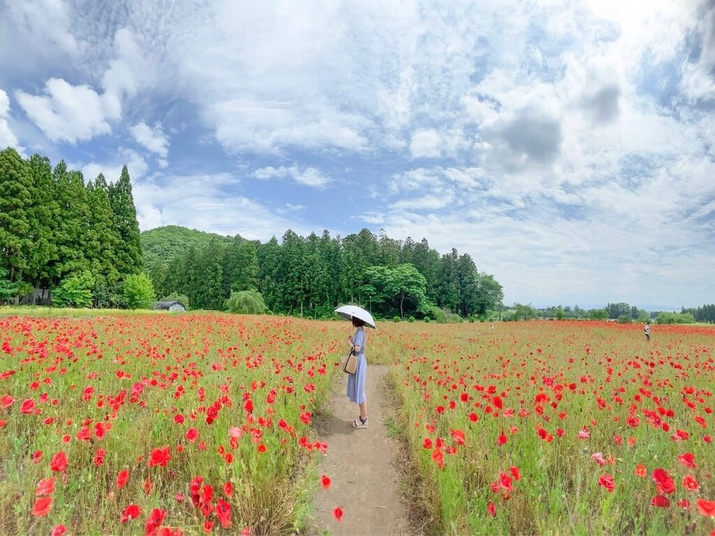 22年 北海道 東北 関東の芝桜おすすめスポット23選 見頃や開花情報も Recotrip レコトリップ