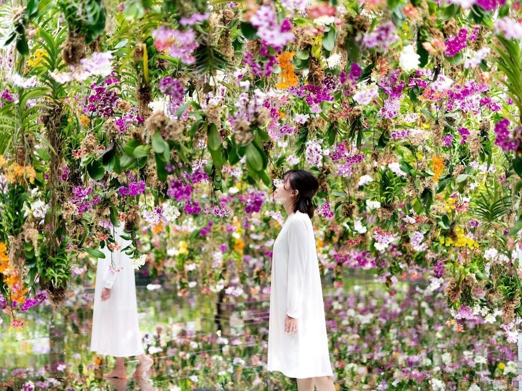 チームラボボーダレスとチームラボプラネッツの違いを比較 どっちへ行く 21年7月オープンの新エリア Garden Area 最新情報追加 Recotrip レコトリップ