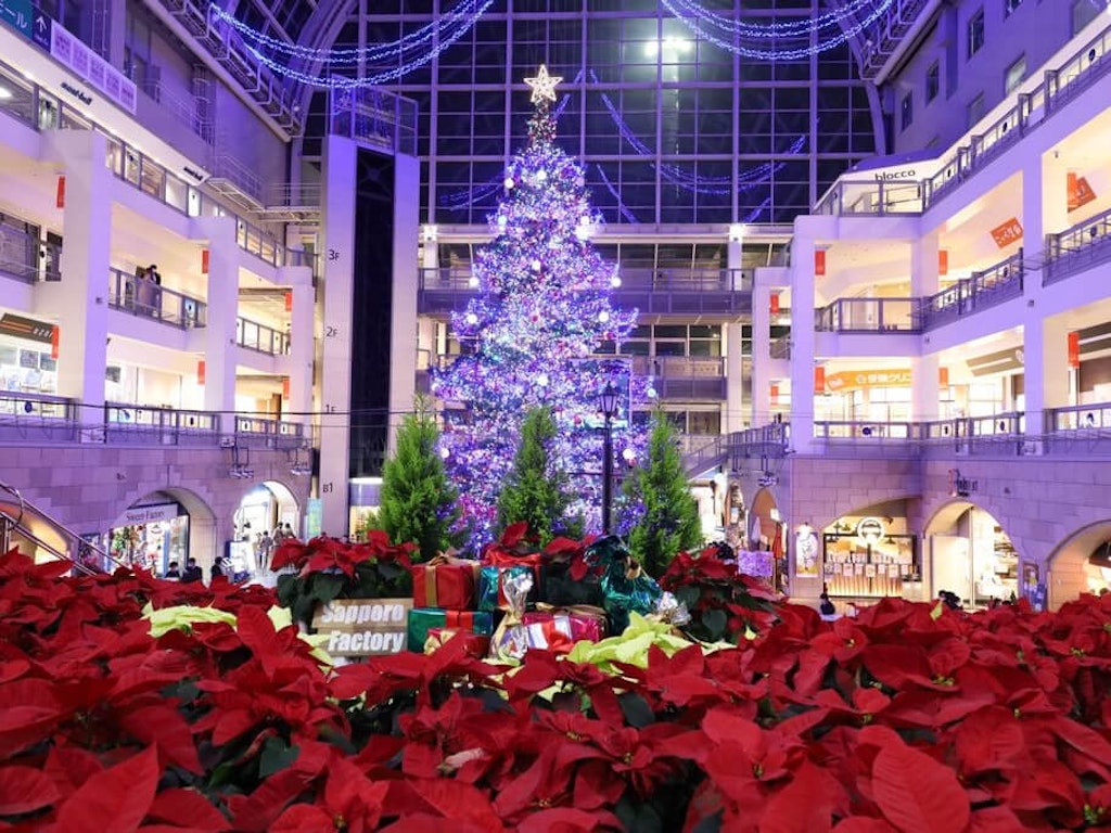 全店販売中 クリスマスツリー No 239 Terminalesmedellin Com 全店販売中 クリスマスツリー No 239 Terminalesmedellin Com