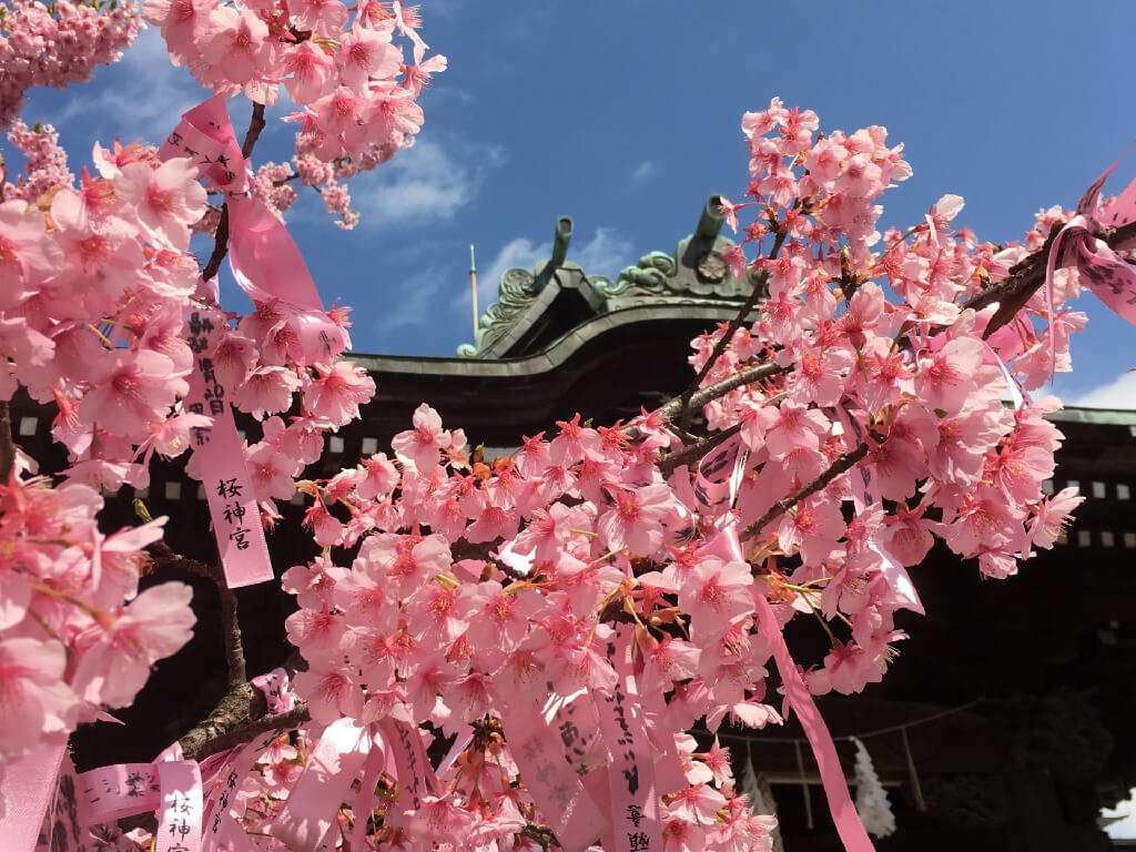 御朱印巡り☆桜巡りに☆東京メトロ24時間券☆1枚 - 乗車券/交通券