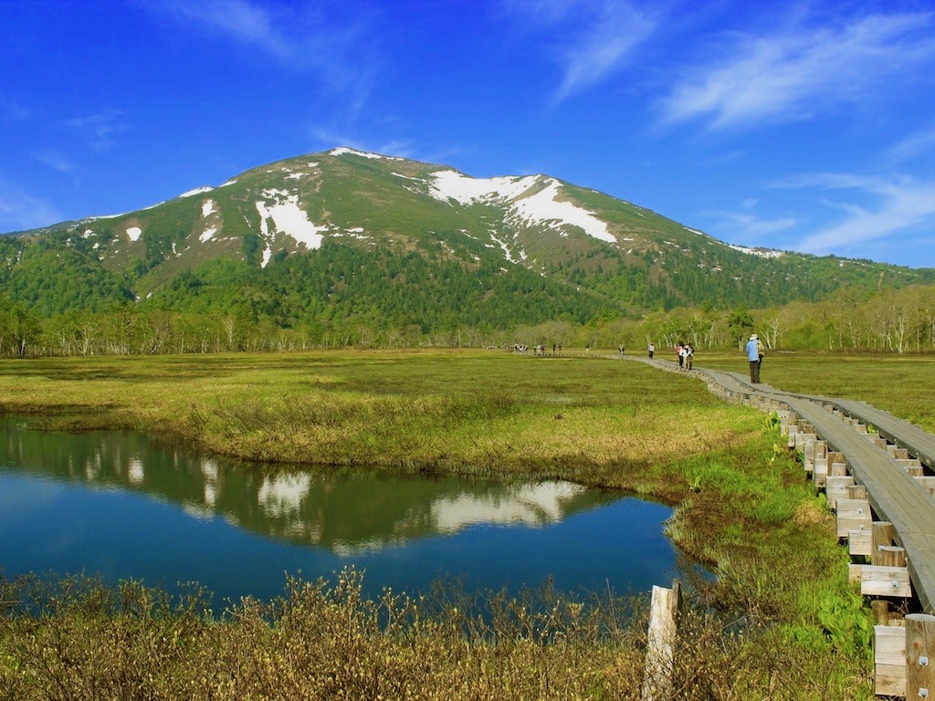 本州最大級の湿原「尾瀬ヶ原」を歩く！貴重な生態系が織りなす湿原の