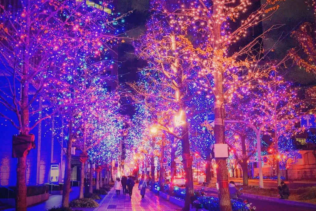 22年版 関西の人気イルミネーションと点灯期間のまとめ Recotrip レコトリップ