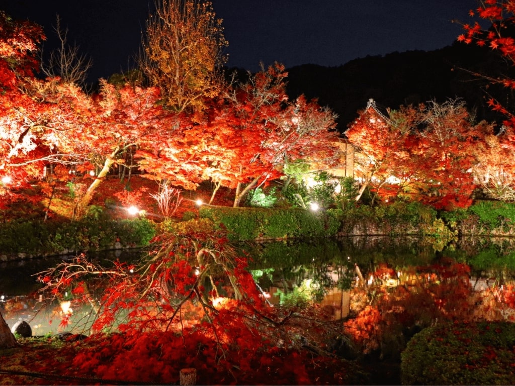 22年 関西で紅葉狩り 必見の絶景おすすめスポット30選 寺社仏閣の名所から荘厳な滝まで Recotrip レコトリップ