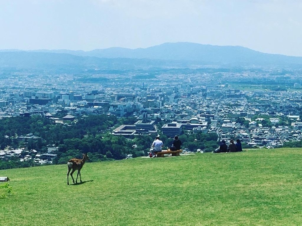 爽やかな自然と風と戯れる 若草山 へ奈良の絶景を見に行こう Recotrip レコトリップ