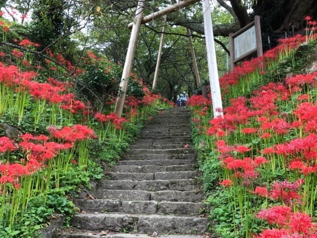 22年 全国のおすすめ彼岸花 ヒガンバナ の観光名所 定番から穴場まで Recotrip レコトリップ