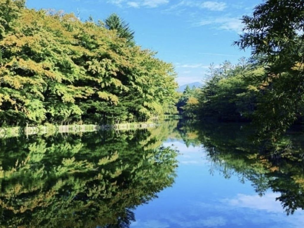 長野県軽井沢の 雲場池 水面に映る美しき絶景を見に行こう Recotrip レコトリップ