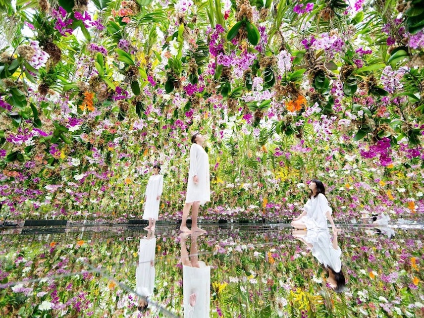 チームラボボーダレスとチームラボプラネッツの違いを比較 どっちへ行く 21年7月オープンの新エリア Garden Area 最新情報追加 Recotrip レコトリップ