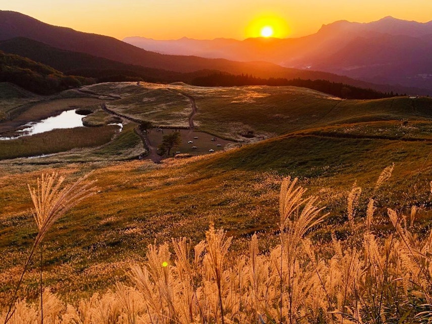 関西随一のススキの名所 曽爾高原 秋の黄金に輝く絶景の楽しみ方や周辺観光を紹介 Recotrip レコトリップ