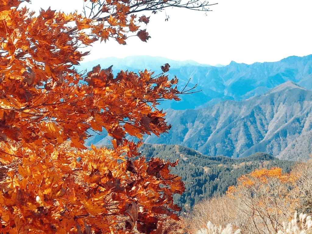 こすらない 絵画風 壁紙ポスター 地球の撮り方 紅葉が反射する床もみじ 京都 瑠璃光院の秋の特別拝観 C Zjp 054p1 パノラマ版 1440mm 576mm の通販はau Pay マーケット レアルインターショップ Au Pay マ がないため