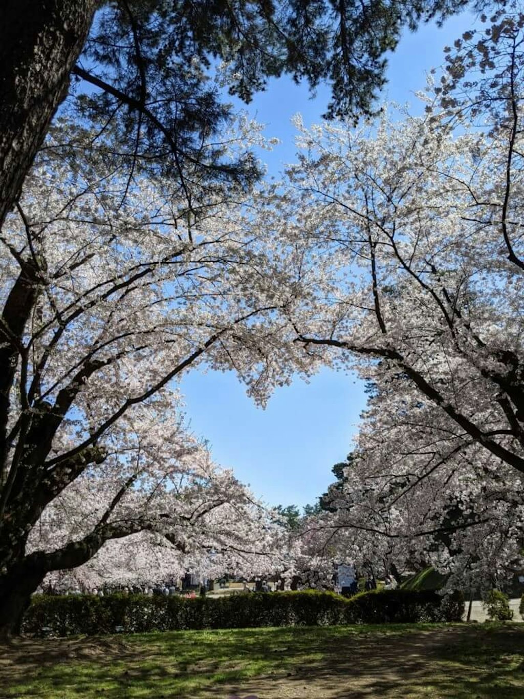 東北の魅力を語ろう より東北6県の魅惑観光スポット 素敵な旅の思い出30選 Recotrip レコトリップ