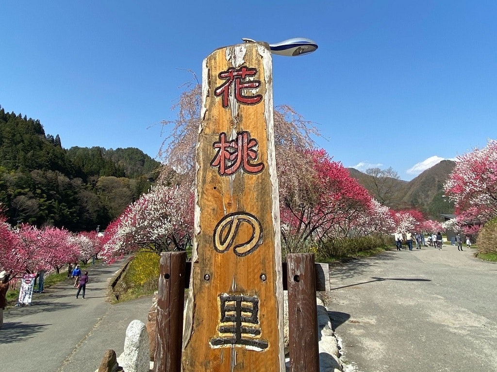 長野 阿智村 花桃の里 へ 日本一の星空も楽しめる桃源郷へ出かけよう Recotrip レコトリップ
