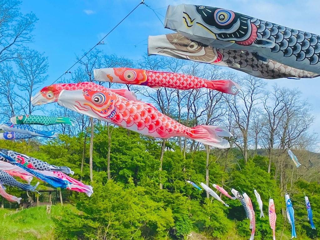 22年 日本全国の鯉のぼりの名所35選 定番から穴場まで Recotrip レコトリップ