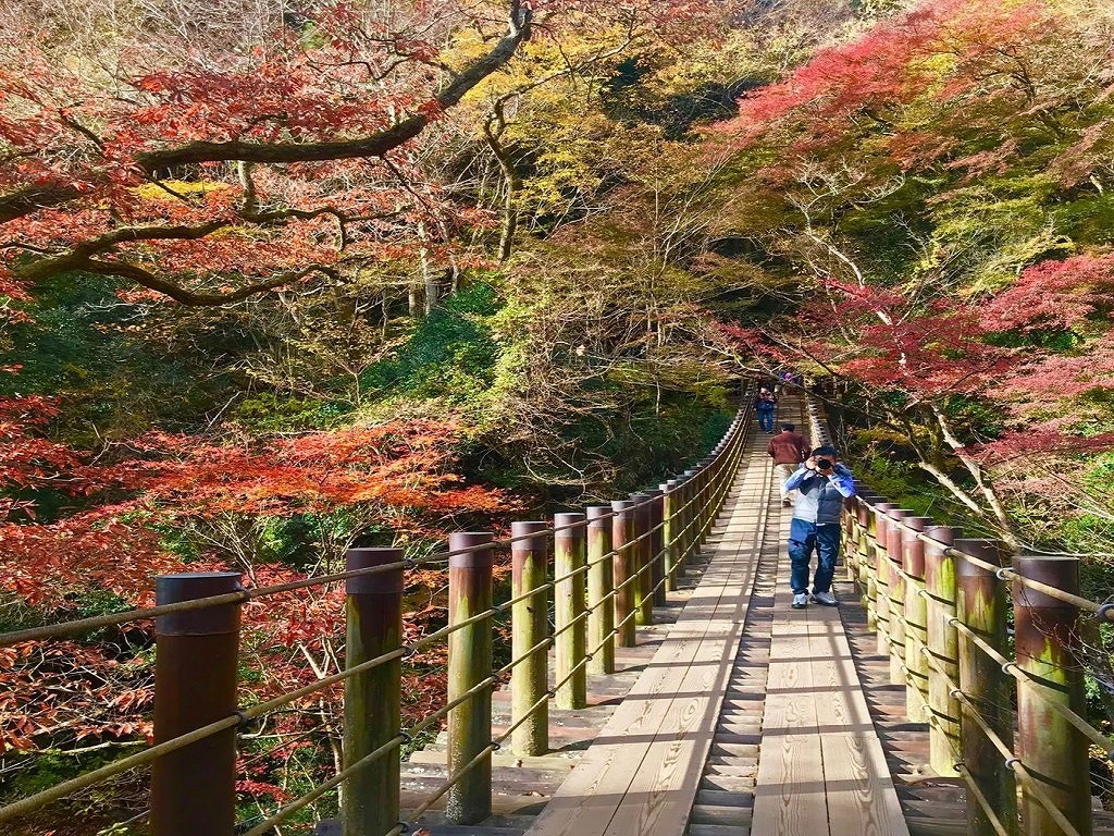 ロケ地で話題の 花貫渓谷 を観光しよう 楽しみ方や周辺スポット 行き方まで Recotrip レコトリップ