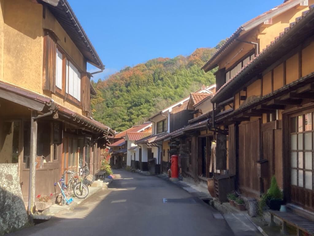 南高梅（産地 吉野川市高越山麓）朝取り 果物 | studiomenpheses.com