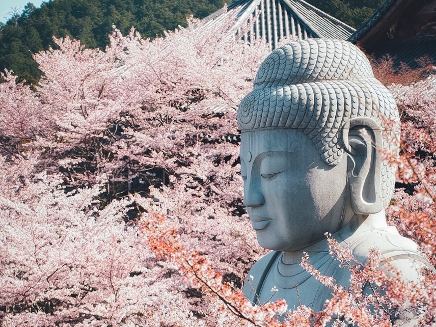 春の絶景特集 Recotoriユーザーがおすすめ 日本が誇る春の絶景17選 Recotrip レコトリップ