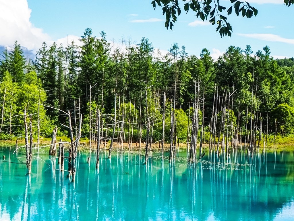 これぞ青の絶景 北海道の美瑛を代表する 青い池 を見に行こう Recotrip レコトリップ