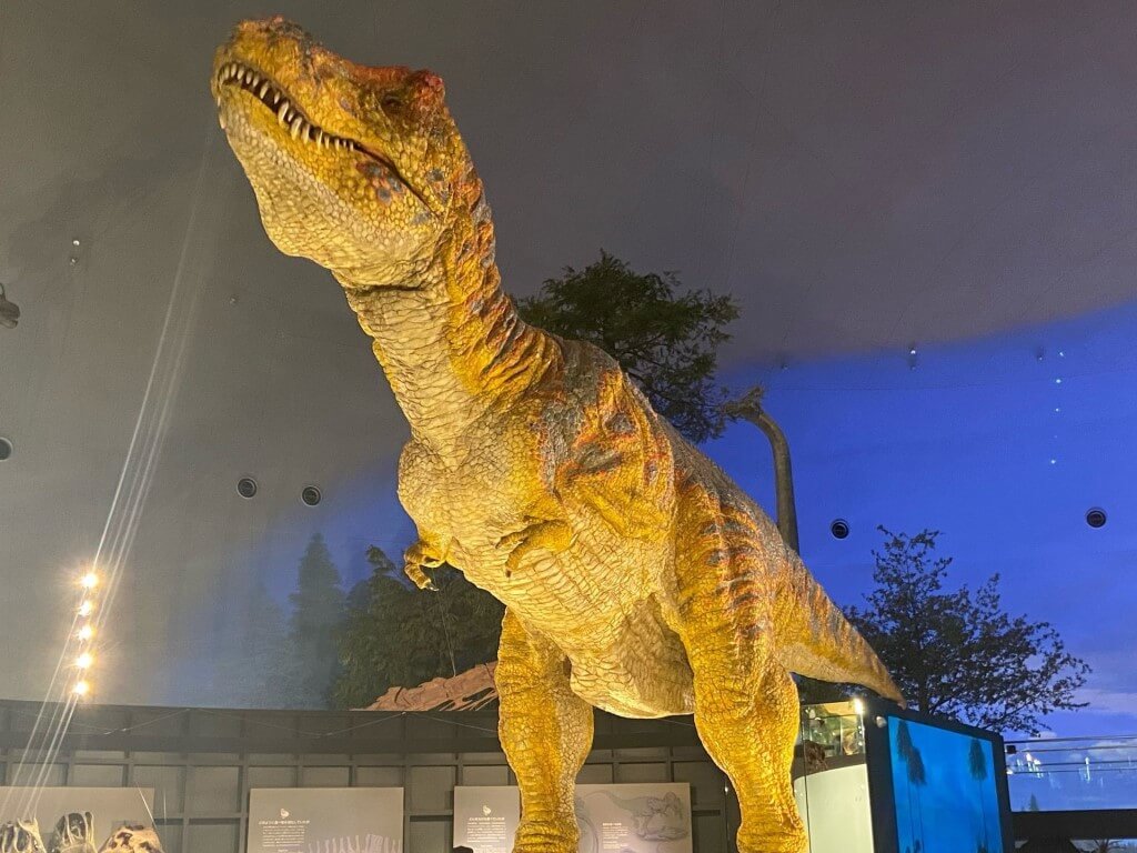 23年 関西で子連れ 家族旅行におすすめのホテル 旅館32選 駅チカからテーマパークホテルまで Recotrip レコトリップ