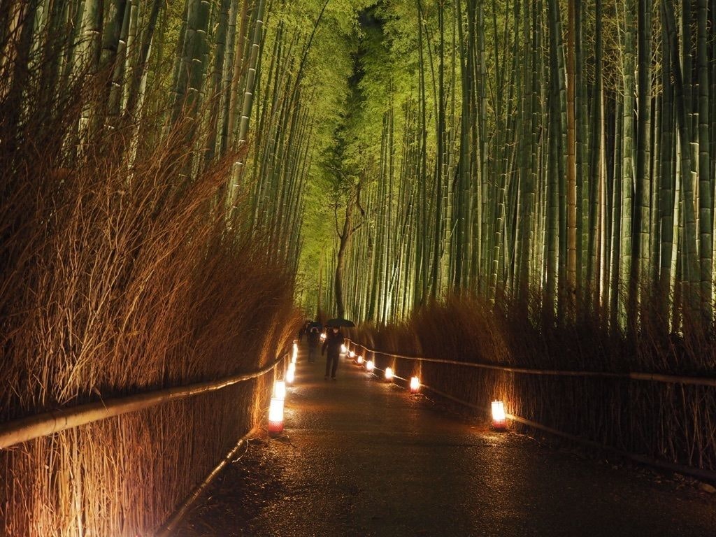 京都の名所 嵐山 竹林の小径 で風情あふれる自然の中を歩こう Recotrip レコトリップ