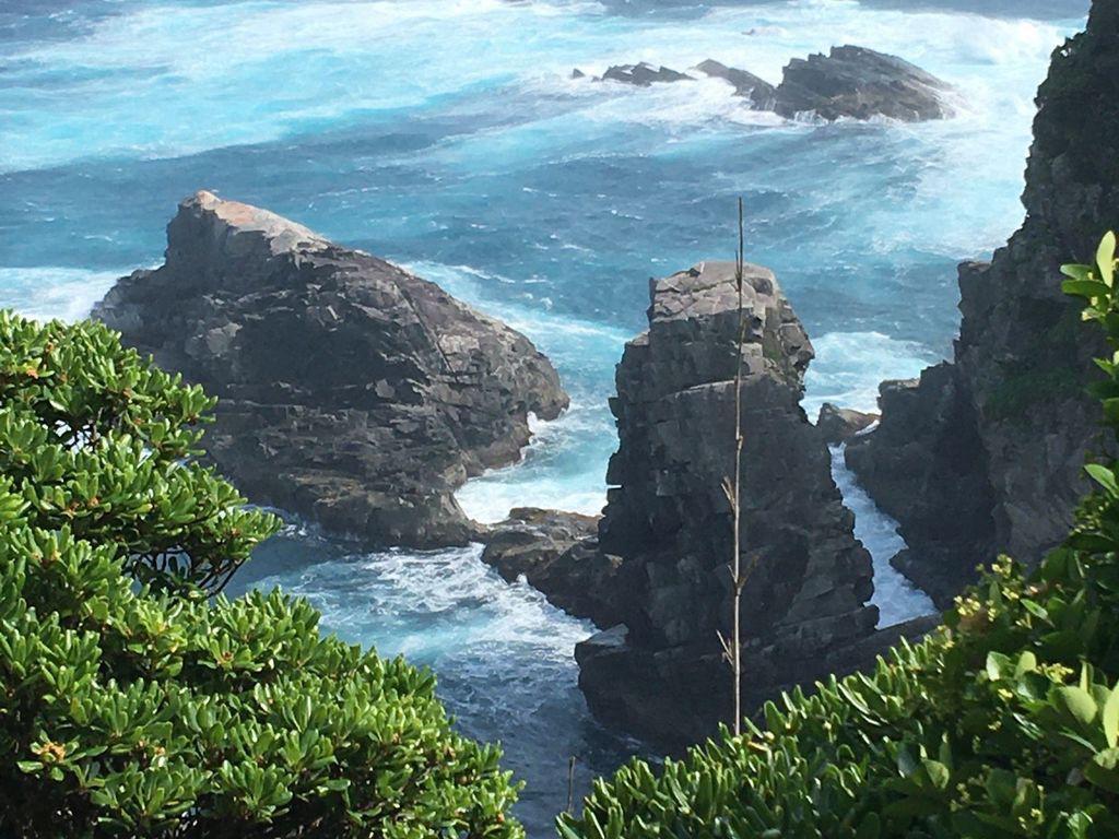 地球の丸さを実感！「足摺岬」で海の絶景と歴史を堪能しよう｜RECOTRIP