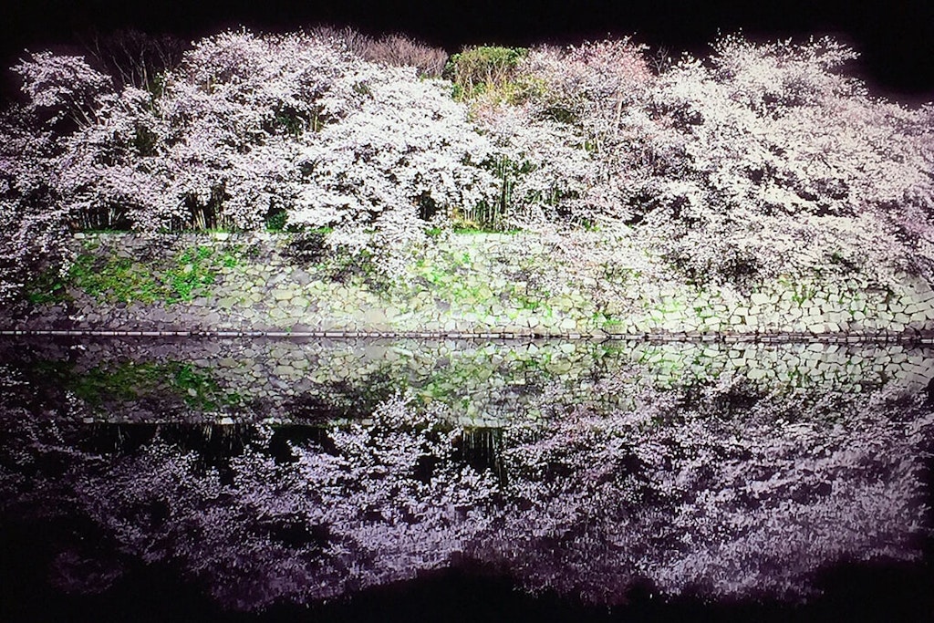 22年 関西のおすすめ花見スポット 桜の名所選 見頃や開花情報も Recotrip レコトリップ