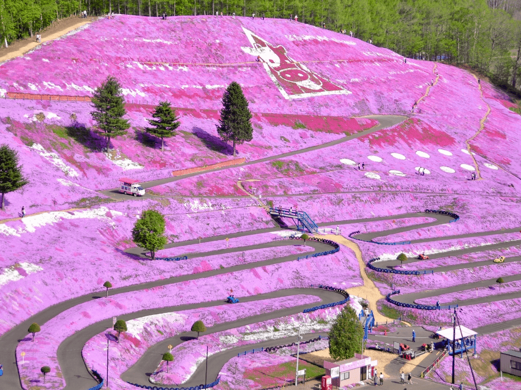 桜の開花特集 日本が誇る美しい桜の名所19選 Recotrip レコトリップ