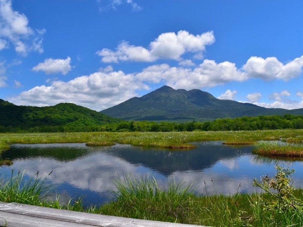 本州最大級の湿原 尾瀬ヶ原 を歩く 貴重な生態系が織りなす湿原の魅力を紹介 Recotrip レコトリップ