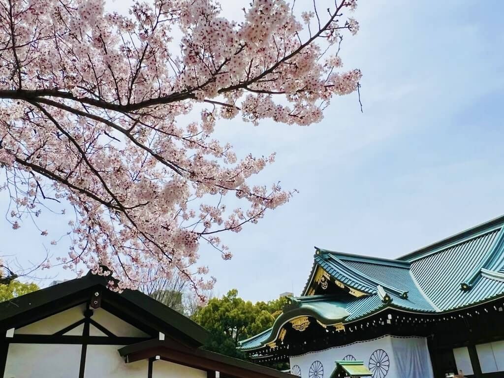 竹灯り 彩シリーズ 〜桜と虹色の太陽〜 竹灯籠 孟宗竹 欲する