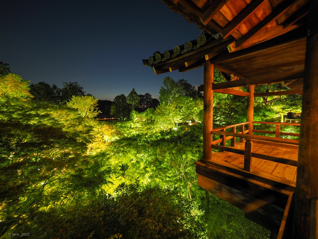 徹底解説 東福寺 東山区 史上初の夜景ライトアップと至宝巡り Recotrip レコトリップ