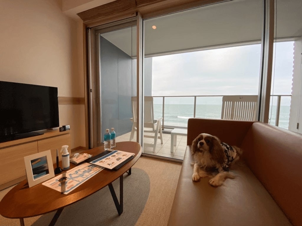 22年 関東で愛犬と泊まれるペット可の宿30選 ドッグラン付きのホテルから1棟貸しまで Recotrip レコトリップ