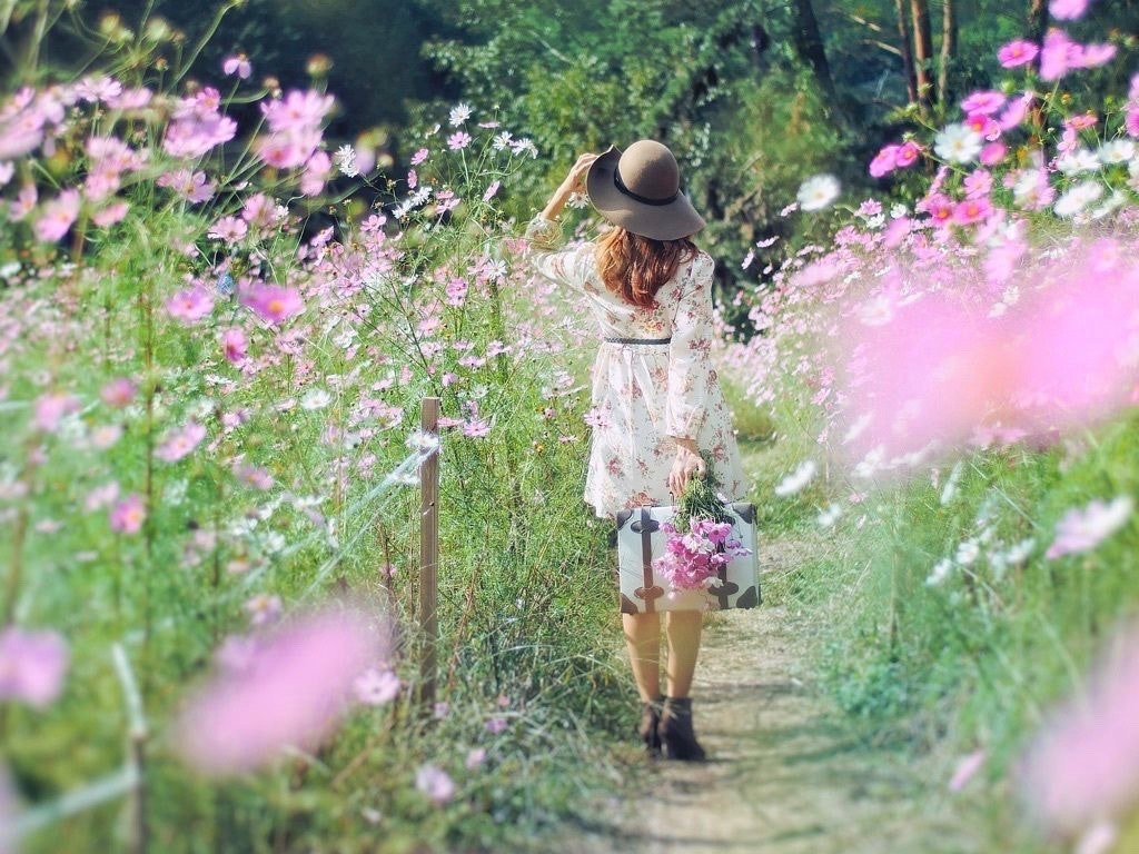 21年版 秋の絶景 関西のコスモスの名所 見頃 アクセスを紹介 Recotrip レコトリップ