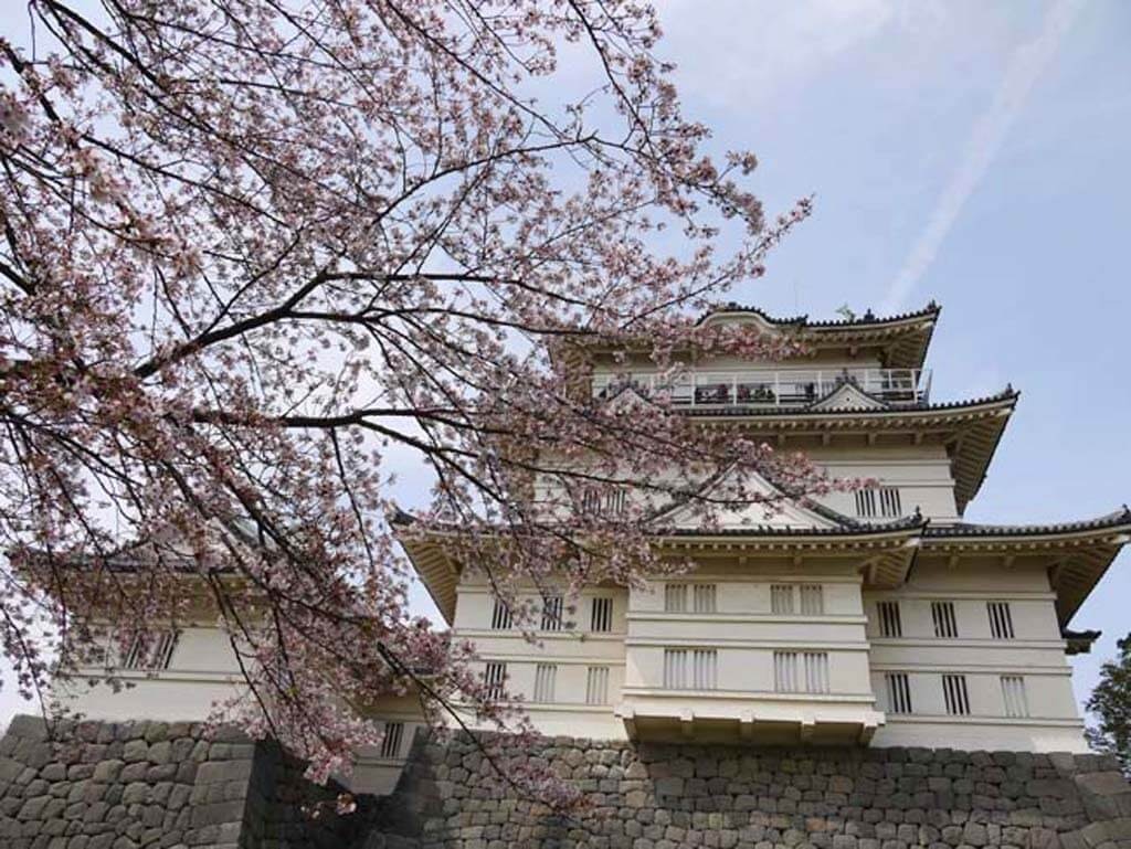 小田原観光 城下町 小田原ではずせない おすすめグルメ 観光モデルコース Recotrip レコトリップ 小田原観光 城下町 小田原ではずせない おすすめグルメ 観光モデルコース Recotrip レコトリップ