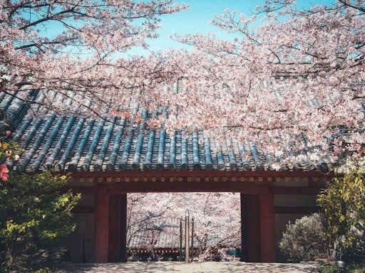 ハンドメイド ♡ 思い出せ 選べるパーツ、夜桜シリーズ 桜