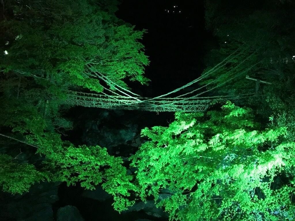 渓谷に架かるつる植物の橋 祖谷のかずら橋 秘境の絶景とスリルを楽しもう Recotrip レコトリップ